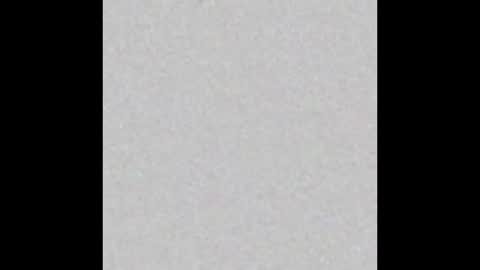 Vivian online show from October 2025 11:13:02 AM