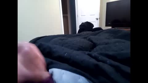 Snapshot of vladedivac1998 chatting on September 2025 04:43:02 PM vladedivac1998 online show from September 2025 04:43:02 PM