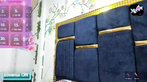 Snapshot of vskayper chatting on October 2025 12:33:01 PM skay online show from October 2025 12:33:01 PM