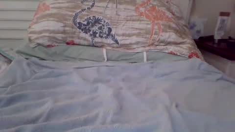 Snapshot of vwjim26 chatting on September 2025 04:00:02 PM vwjim26 online show from September 2025 04:00:02 PM