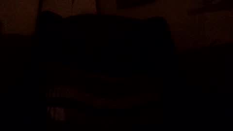 w111111 online show from June 2026 02:33:01 AM