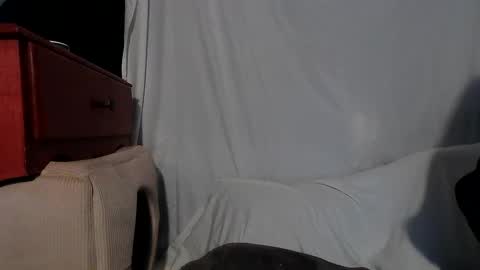 Snapshot of wacky_weirdo chatting on December 2024 04:00:01 AM Rose online show from December 2024 04:00:01 AM