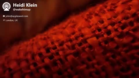 wakehimup online show from November 2025 03:58:02 PM