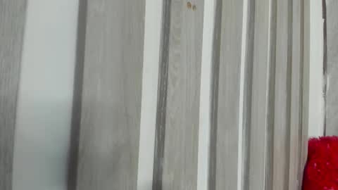 Snapshot of wandaloov chatting on October 2025 04:33:01 AM wanda online show from October 2025 04:33:01 AM