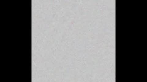 wanderlustgaal online show from October 2025 03:18:01 AM