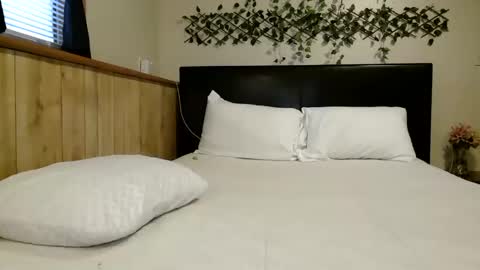 wanderlustgaal online show from November 2025 12:04:01 PM