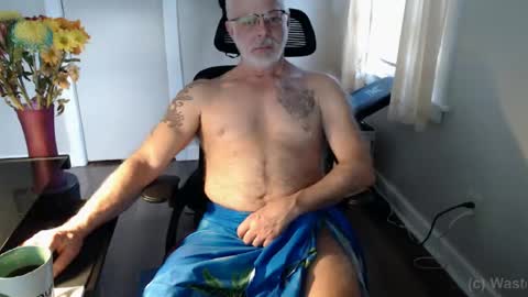 Snapshot of wasted_daze_ chatting on March 2025 12:41:01 PM wasted_daze_ online show from March 2025 12:41:01 PM