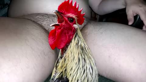 classified online show from October 2025 07:34:02 PM