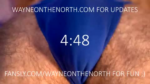 Snapshot of waynenorth chatting on February 2025 04:25:02 PM waynenorth online show from February 2025 04:25:02 PM