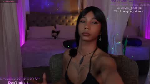 Wayuu Goddess  3 online show from March 2026 03:14:01 PM