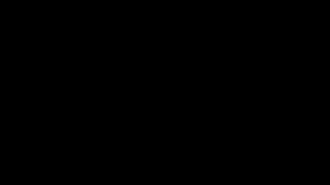 wellingtont online show from September 2025 02:06:02 AM