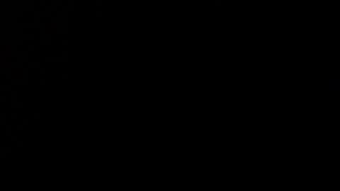 wellingtont online show from December 2025 09:27:01 AM