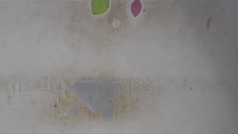 Bella online show from May 2026 08:20:01 AM