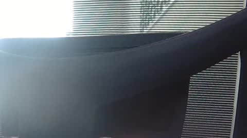 Wetbigdickstream online show from June 2026 12:14:02 PM