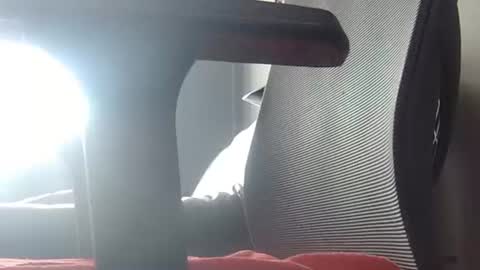 Wetbigdickstream online show from June 2026 11:41:01 AM