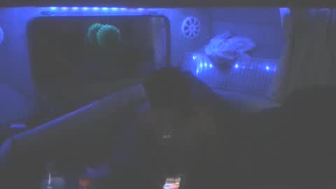 Snapshot of wetdreamsz101 chatting on January 2026 08:51:01 AM wetdreamz101 online show from January 2026 08:51:01 AM