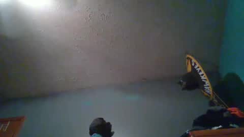 wetduck77777 online show from October 2025 08:01:01 AM