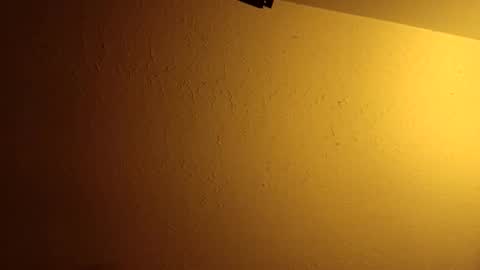 wetduck77777 online show from June 2026 06:47:02 AM