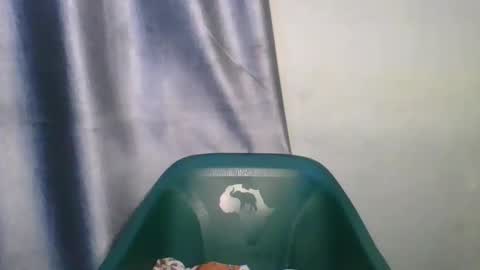 wetfatpussy_ online show from February 2026 06:58:01 PM