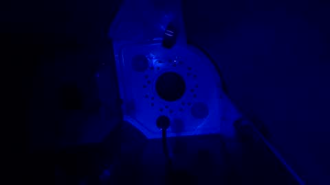 wfantasy472 online show from February 2025 02:34:02 PM