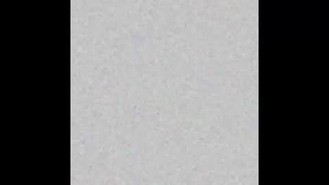 whattheylike online show from March 2026 02:26:02 AM