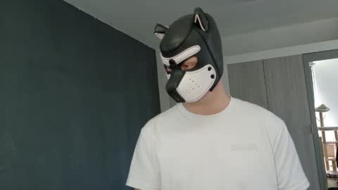 Snapshot of white_pup chatting on April 2026 11:16:01 AM white_pup online show from April 2026 11:16:01 AM