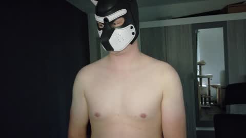 Snapshot of white_pup chatting on May 2026 04:58:02 PM white_pup online show from May 2026 04:58:02 PM