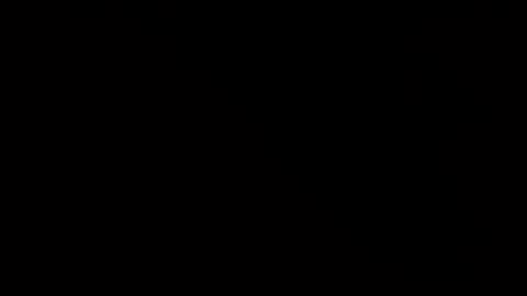Snapshot of whitehead_lion chatting on January 2025 06:56:02 AM whitehead_lion online show from January 2025 06:56:02 AM