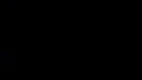 Snapshot of whitehead_lion chatting on February 2025 05:40:01 AM whitehead_lion online show from February 2025 05:40:01 AM