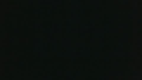 whitehead_lion online show from March 2026 11:04:01 AM