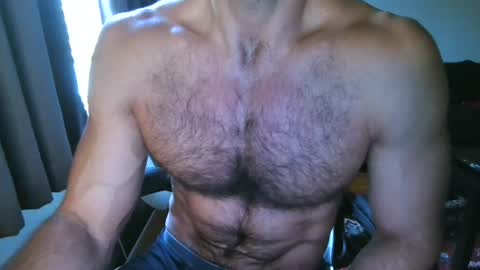 AC Flex online show from August 2026 07:49:02 PM