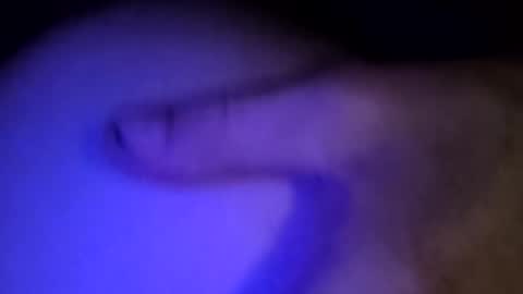 Snapshot of whodunnitwrangler chatting on February 2026 05:55:01 AM whodunnitwrangler online show from February 2026 05:55:01 AM