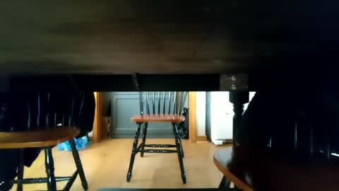 whoneedsaowner online show from January 2025 02:18:01 PM