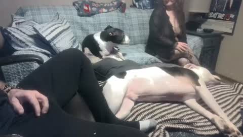 Snapshot of whynotforfun1 chatting on January 2025 01:10:01 AM whynotforfun1 online show from January 2025 01:10:01 AM