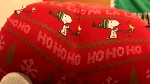 Snapshot of whyou12 chatting on November 2025 09:57:02 PM whyou12 online show from November 2025 09:57:02 PM