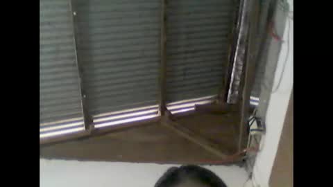 wild984501 online show from January 2025 03:55:01 AM