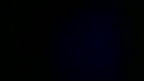 Snapshot of wildcamille chatting on January 2025 01:11:01 PM camille online show from January 2025 01:11:01 PM