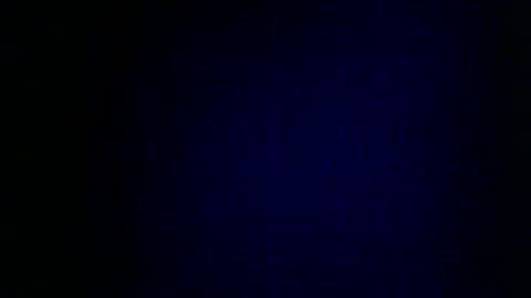 Snapshot of wildcamille chatting on February 2025 09:16:01 AM camille online show from February 2025 09:16:01 AM