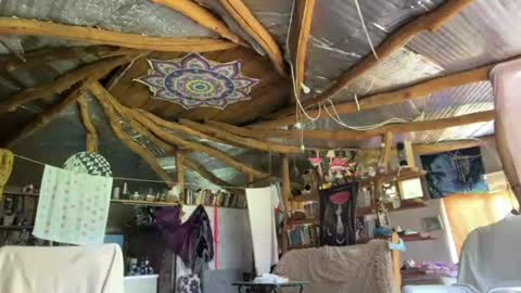 Snapshot of wildforestmuse chatting on June 2026 06:46:01 AM wildforestmuse twitter online show from June 2026 06:46:01 AM