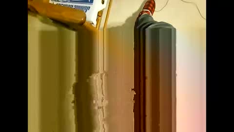 wildman2900 online show from December 2024 03:24:02 PM