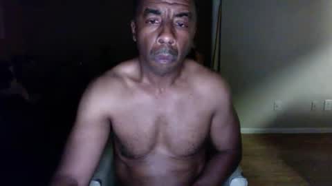 wildnight007 online show from December 2024 08:00:02 AM