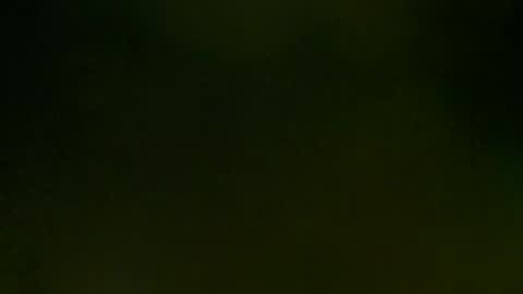 Snapshot of wildpersia chatting on March 2025 09:08:02 PM WildPersia online show from March 2025 09:08:02 PM