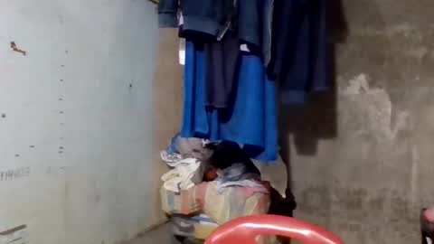 wildveron_205 online show from December 2025 12:33:02 PM