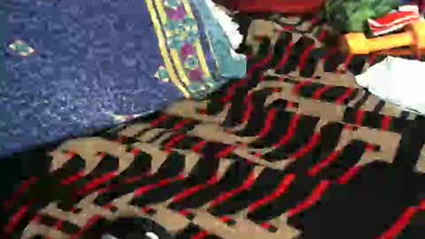 Snapshot of willamyth chatting on February 2025 08:49:01 AM Willamyth online show from February 2025 08:49:01 AM