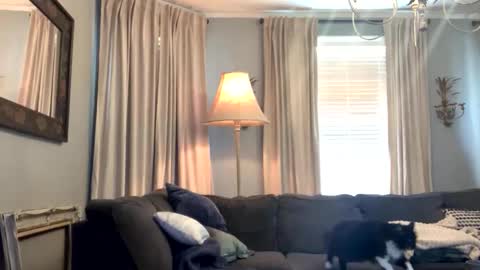 willbeatit online show from April 2026 05:28:01 PM