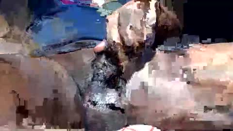 Snapshot of willianel chatting on December 2025 11:43:01 PM willianel online show from December 2025 11:43:01 PM