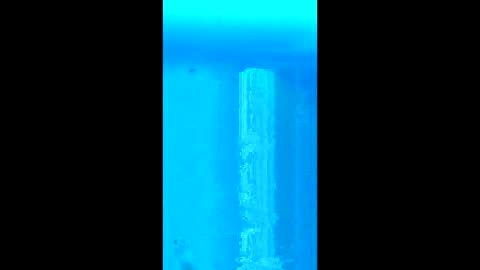 willielowrider online show from February 2026 03:08:01 PM