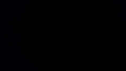 Snapshot of williewants chatting on February 2026 10:22:01 AM williewants online show from February 2026 10:22:01 AM