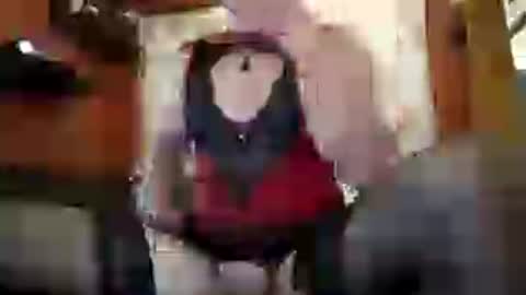 willinganalslutforyou online show from June 2026 08:56:02 PM