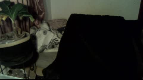 Snapshot of willingwillwet chatting on December 2024 03:11:02 PM Call me Babe online show from December 2024 03:11:02 PM